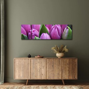 Obraz - kwiaty tulipanów (170x50 cm)