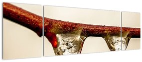 Obraz kropli na gałęzi (170x50 cm)