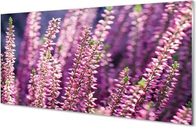 Szkło do Kuchni na Ścianę Delikatne Polne Kwiaty