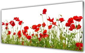 Szkło Ozdobne do Kuchni Dywan Czerwonych Maków na Łące
