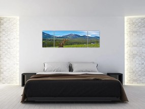 Obraz - Jeleń na łące (170x50 cm)