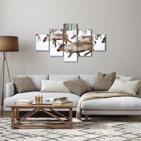 Obraz - Renifer (125x70 cm)