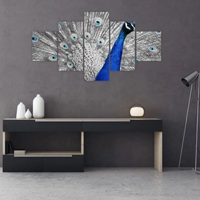 Obraz - niebieski paw (125x70 cm)