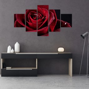 Obraz - Czerwona róża (125x70 cm)