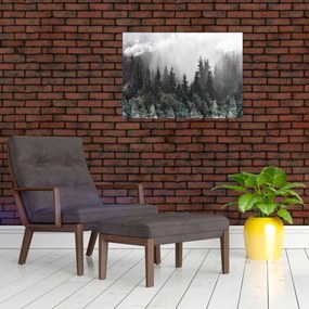 Obraz na szkle - Las z ilustrowanymi elementami (70x50 cm)