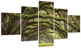 Obraz - Oaks Avenue, Charleston, Karolina Południowa, USA (125x70 cm)