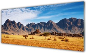 Panel Szklany Surowe Góry na Pustyni