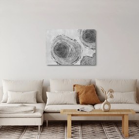 Obraz na szkle - Motyw drzewa (70x50 cm)