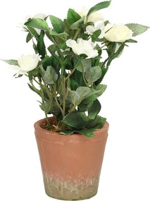 Dekoracja White Rose 24cm