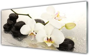 Szkło Ozdobne do Kuchni Egzotyczny Biały Storczyk