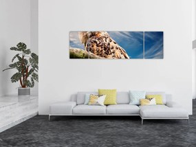 Obraz sowy (170x50 cm)