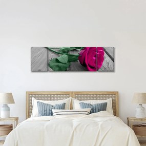 Obraz - Różowa róża z zieloną łodygą (170x50 cm)