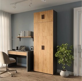 Półka na akta antracyt/złoty dąb 80x37x223.8 frank