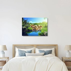 Obraz na szkle - jezioro w dżungli Seszeli (70x50 cm)