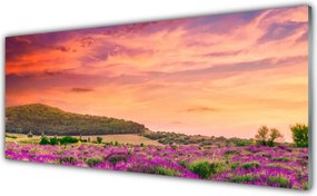 Panel Kuchenny Kolorowa Łąka W Pełni Lata