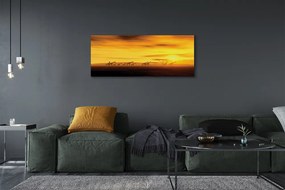 Duży obraz na płótnie Drzewo i Żyrafy pod Niebem