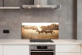 Panel szklany do Kuchni Sylwetka Zebry o Zachodzie