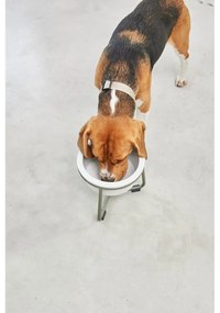 Porcelanowa miska ze stojakiem dla psów ø 20 cm Pranzo Grolive M – MiaCara
