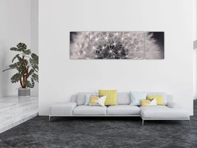 Obraz dmuchawca (170x50 cm)