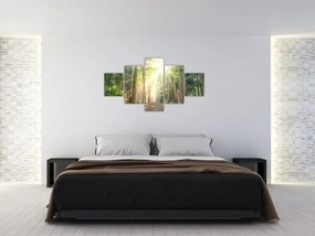 Obraz ścieżki w lesie (125x70 cm)