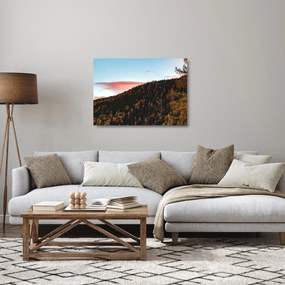 Obraz na szkle rudzików nad wzgórzem (70x50 cm)
