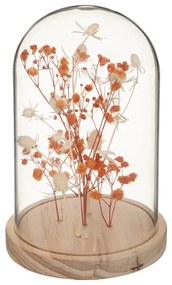 Suszone kwiaty pod szklaną kopułą FLOWER BELL, wysokość 17 cm Kolor: Pomarańczowy