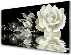 Szkło Ozdobne do Kuchni Czerwona Róża W Kroplach Deszczu