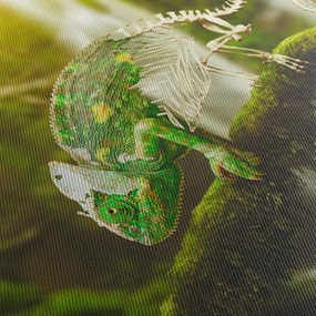 Obraz kameleona (125x70 cm)