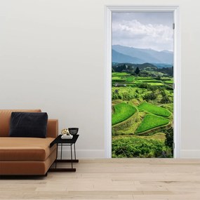 Fototapeta na drzwi - Pola ryżowe (95x205cm)