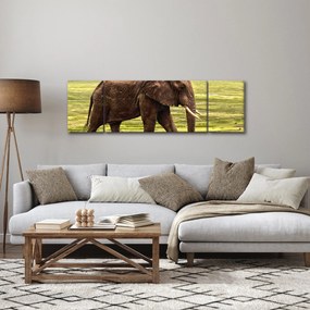 Obraz słonia (170x50 cm)