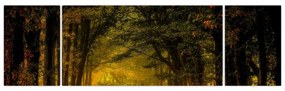 Obraz lasu (170x50 cm)