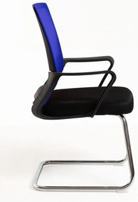 Pewny siebie Krzeso Kole