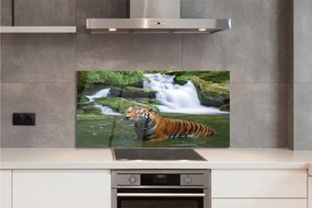 Panel szklany do Kuchni Tygrys nad Górskim Wodospadem