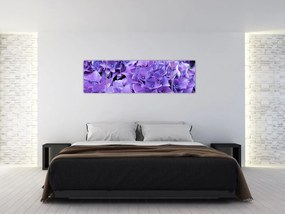 Obraz fioletowych kwiatów (170x50 cm)