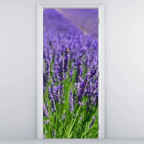 Fototapeta na drzwi - Lawenda (95x205cm)
