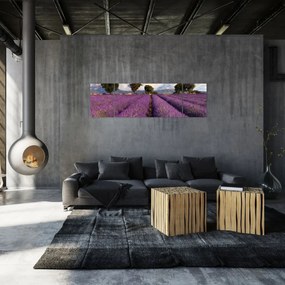 Obraz - Pole lawendy i góry (170x50 cm)