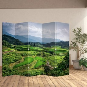 Parawan - Pole ryżowe (210x170 cm)