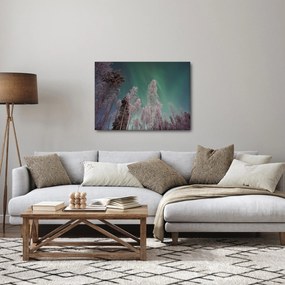 Obraz zorzy polarnej nad zamarzniętymi drzewami (70x50 cm)
