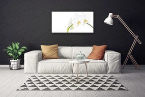 Obraz canvas Letni Ogród Botaniczny