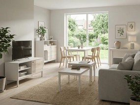 Stolik TV FROST 120x40 cm biały, dekor dąb alpejski