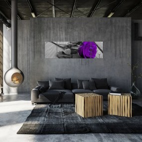 Obraz - Fioletowa róża z zieloną łodygą (170x50 cm)
