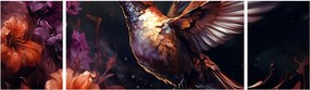 Obraz - Koliber (170x50 cm)