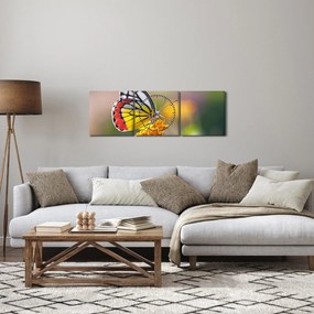Obraz motyla na kwiatku (z zegarem) (90x30 cm)