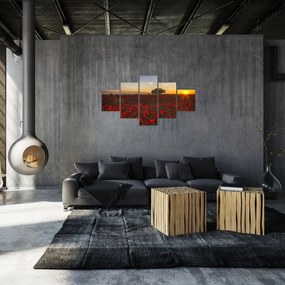 Obraz łąki z makami (125x70 cm)