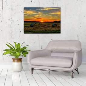 Obraz na szkle - Wiejskie bale (70x50 cm)