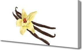 Obraz na płótnie Botaniczny Akcent Wnętrza