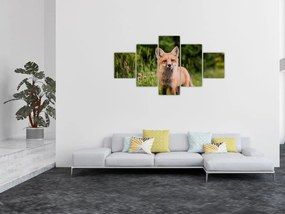 Obraz lisa (125x70 cm)