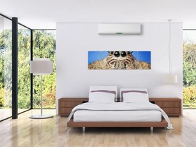Obraz szczegółu pająka (170x50 cm)