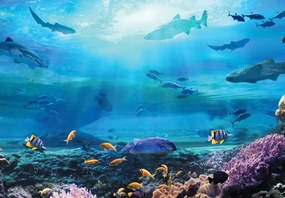 Fototapeta - W oceanie (196x136 cm)
