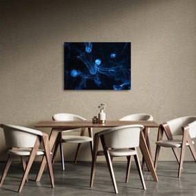 Obraz na szkle - Meduza (70x50 cm)